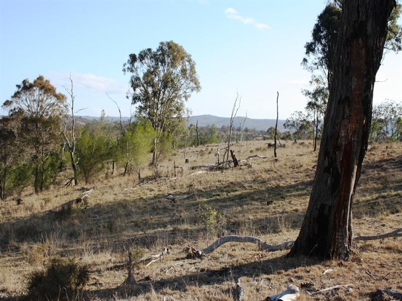 364 Blakes Road, Warwick QLD 4370