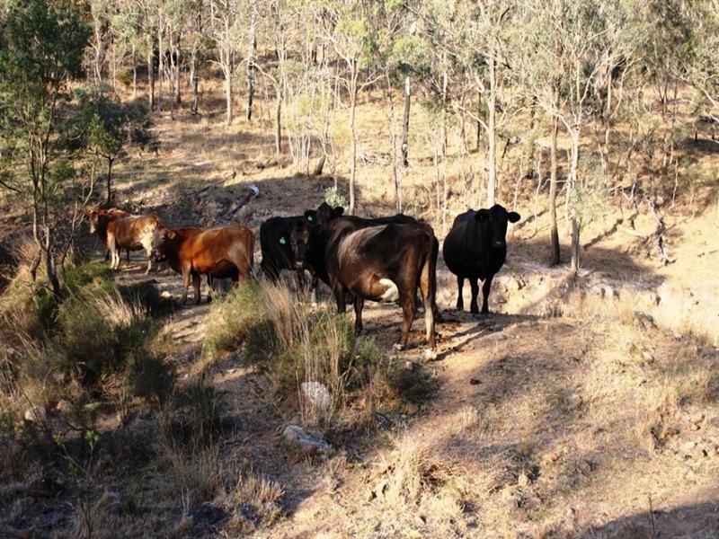 364 Blakes Road, Warwick QLD 4370