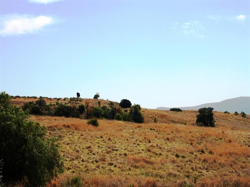 56 Byrnes Road, Gladfield QLD 4370