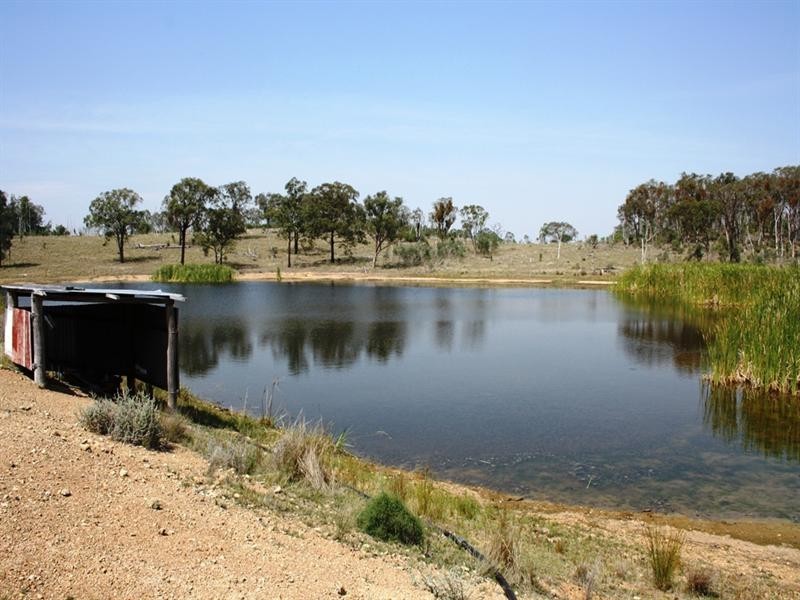 Lot 18 Columba Road, Gore QLD 4352