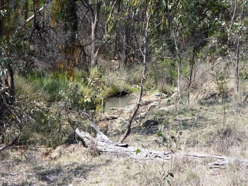 Lot 18 Columba Road, Gore QLD 4352