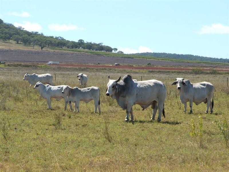 Lot 1 and 3 Clifton/Gatton Road, Headington Hill QLD 4361