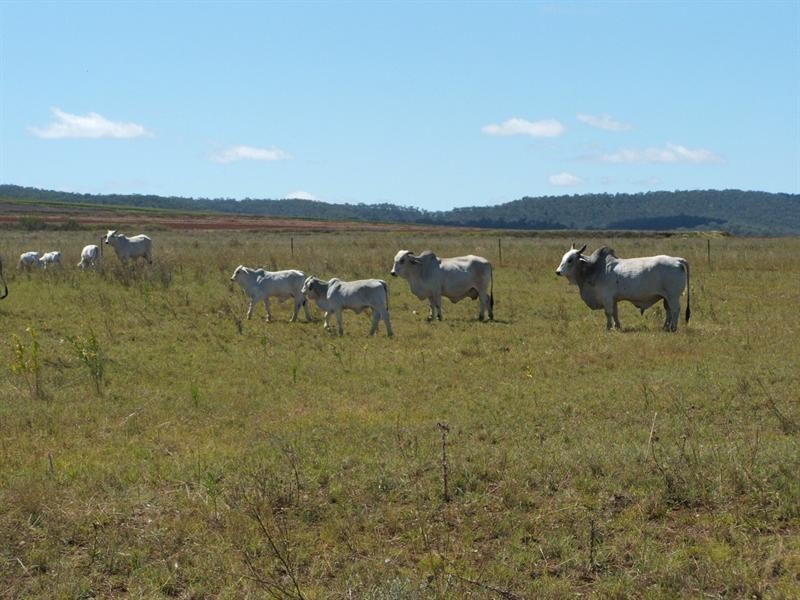 Lot 1 and 3 Clifton/Gatton Road, Headington Hill QLD 4361
