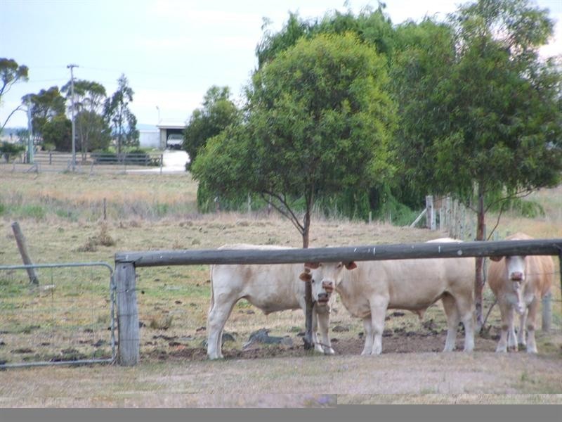 13 Swan Creek Hall Road, Swan Creek, Warwick QLD 4370