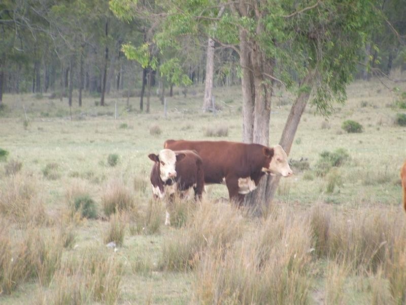 Lot 70 Mountain Rd Massie, Warwick QLD 4370