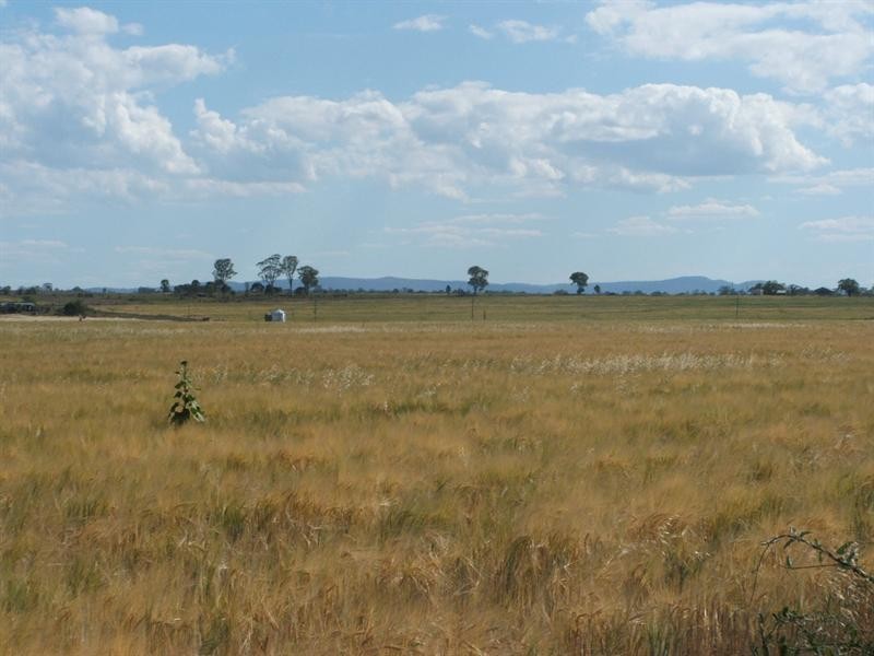 Lot 4 Tannymorel Road, Warwick QLD 4370
