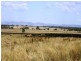 605 Canningvale Road, Warwick QLD 4370