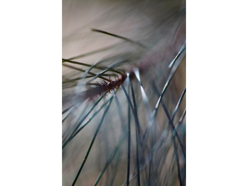 Howes Valley NSW 2330