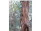 Howes Valley NSW 2330