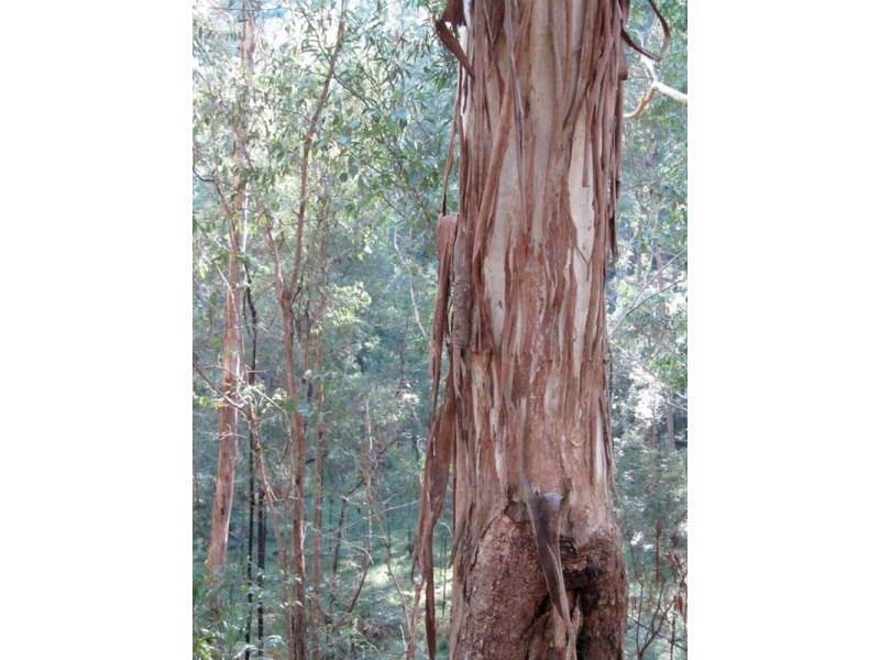 Howes Valley NSW 2330