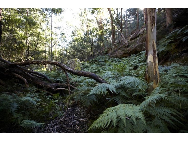 Howes Valley NSW 2330