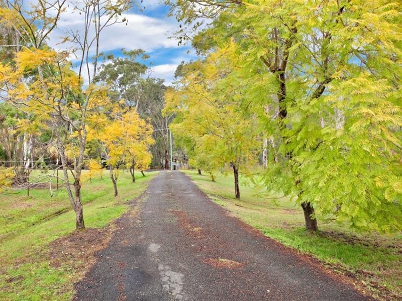 41 Forrester Place, Maraylya NSW 2765