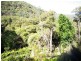 100a McDougall Drive, Colo NSW 2756