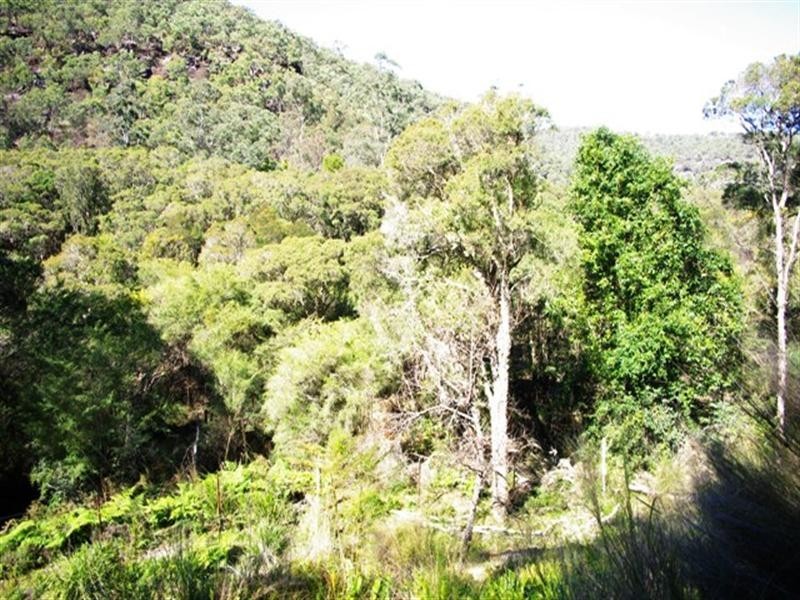 100a McDougall Drive, Colo NSW 2756