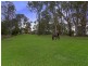 146 Threlkeld Drive, Cattai NSW 2756