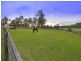 146 Threlkeld Drive, Cattai NSW 2756