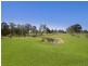 Lot 17 Nutmans Road, Grose Wold NSW 2753