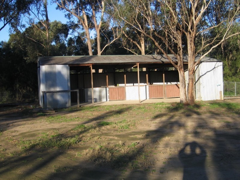 61 Buckingham Street, Pitt Town NSW 2756