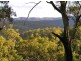 Putty NSW 2330