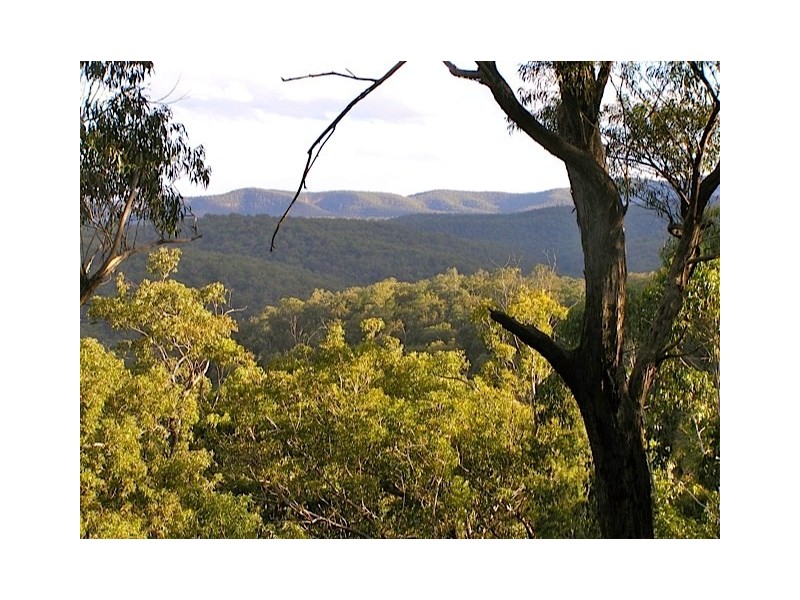 Putty NSW 2330