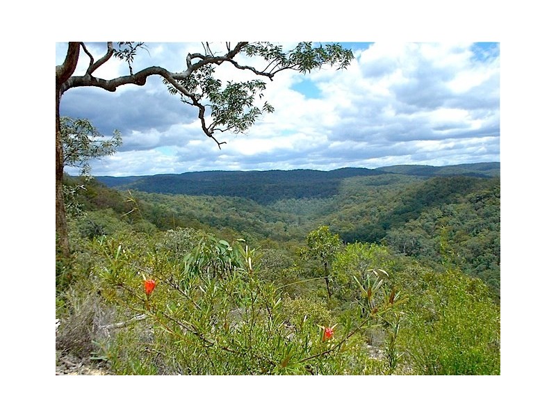 Putty NSW 2330
