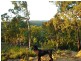 Putty NSW 2330