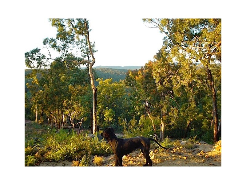 Putty NSW 2330