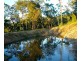 Putty NSW 2330