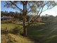 81 Bilpin Spring Road, Bilpin NSW 2758