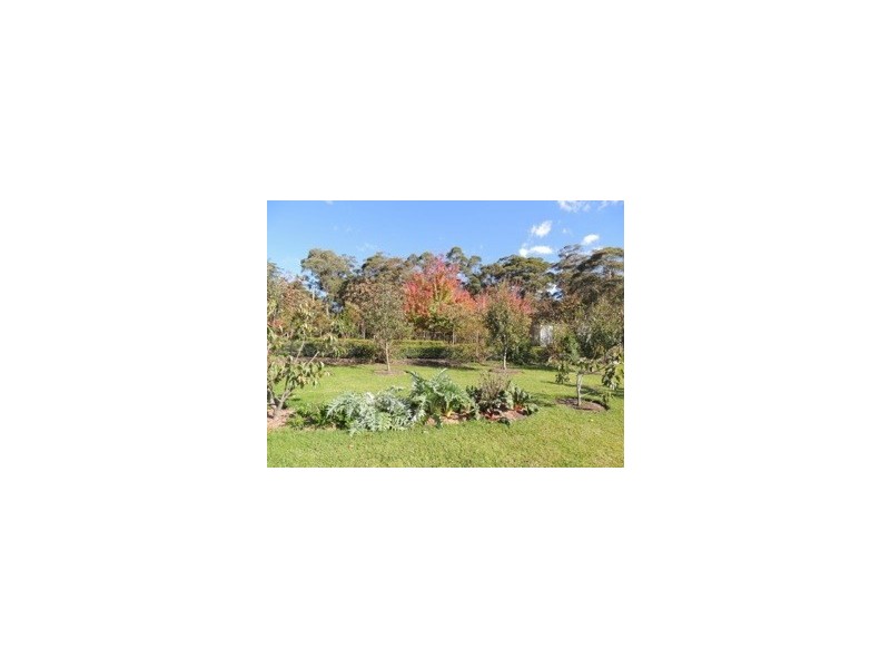 81 Bilpin Spring Road, Bilpin NSW 2758