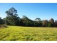 988 Comleroy Road, Kurrajong NSW 2758