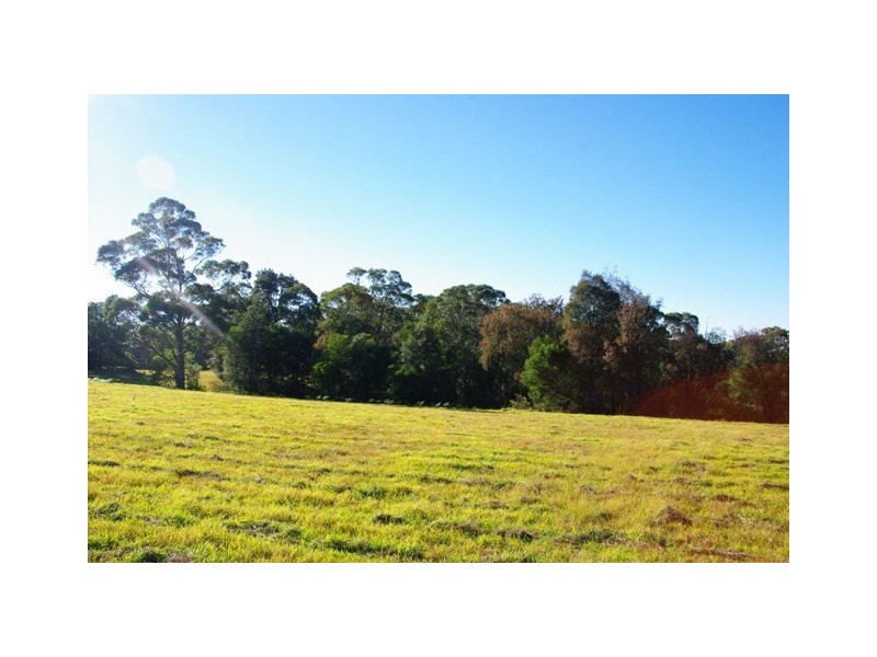 988 Comleroy Road, Kurrajong NSW 2758