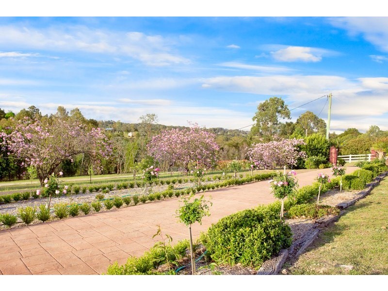 14 Patterson Lane, Grose Vale NSW 2753