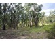 42 Borrowpit Road, Meadow Flat NSW 2795