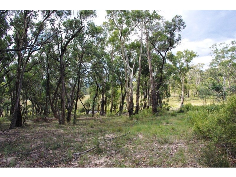 42 Borrowpit Road, Meadow Flat NSW 2795