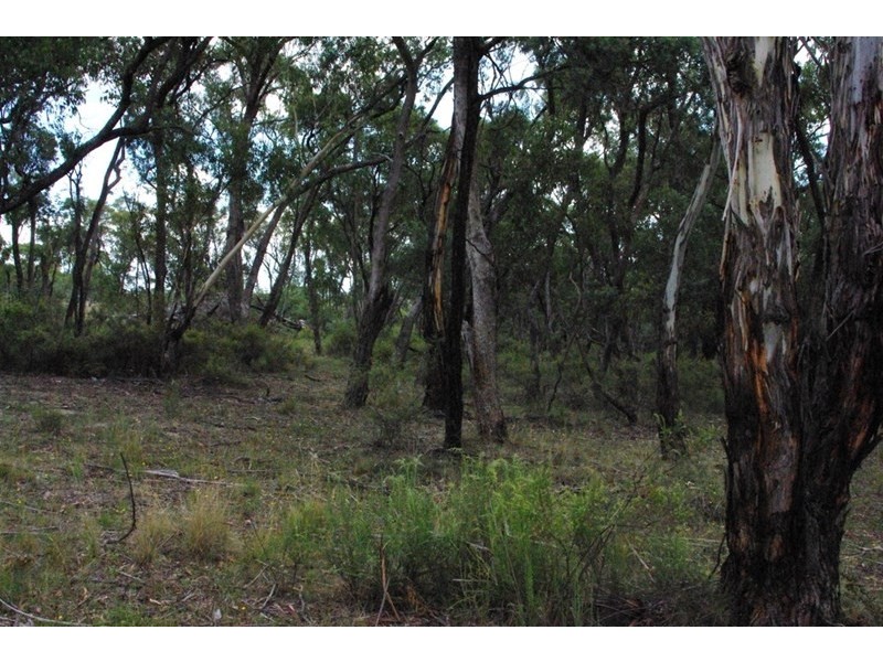 42 Borrowpit Road, Meadow Flat NSW 2795
