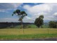 42 Borrowpit Road, Meadow Flat NSW 2795