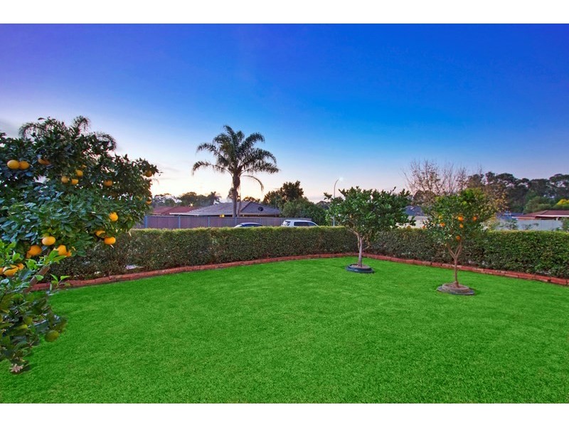 11 Harradine Crescent, Bligh Park NSW 2756