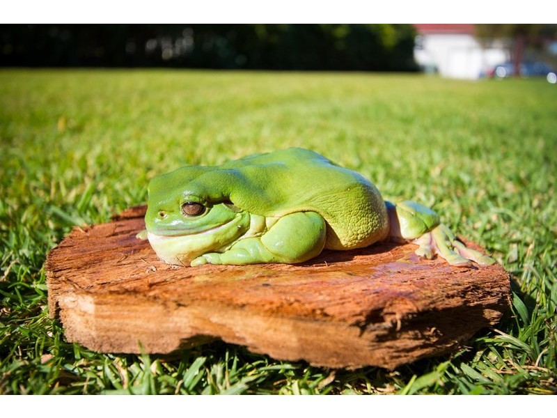 9 King Street, Wilberforce NSW 2756