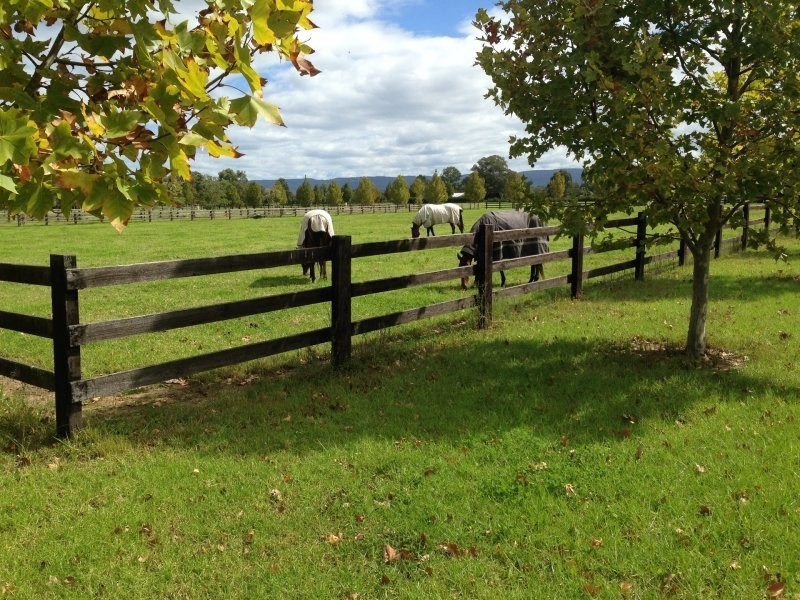 9 Ridges Lane, Richmond Lowlands NSW 2753