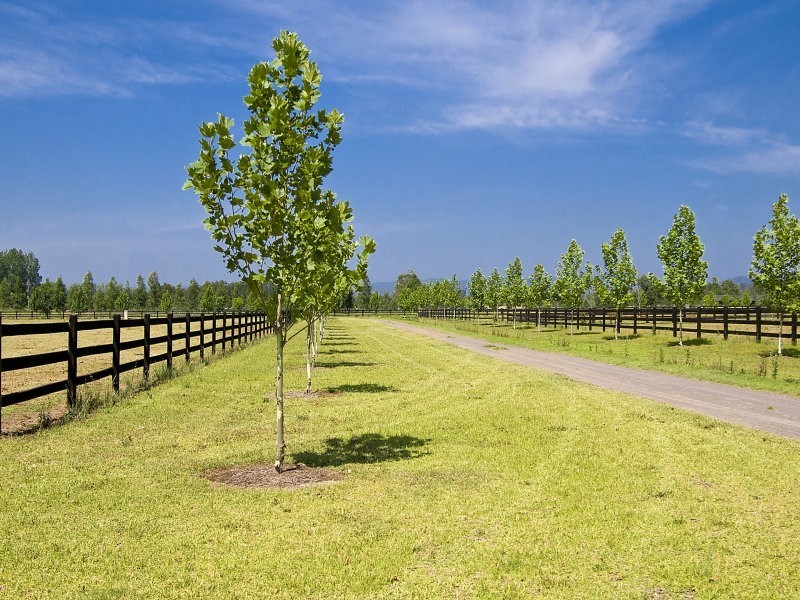 9 Ridges Lane, Richmond Lowlands NSW 2753