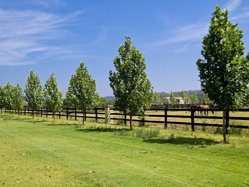 9 Ridges Lane, Richmond Lowlands NSW 2753