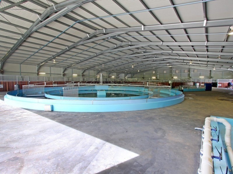 42 Brahma Road, North Richmond NSW 2754