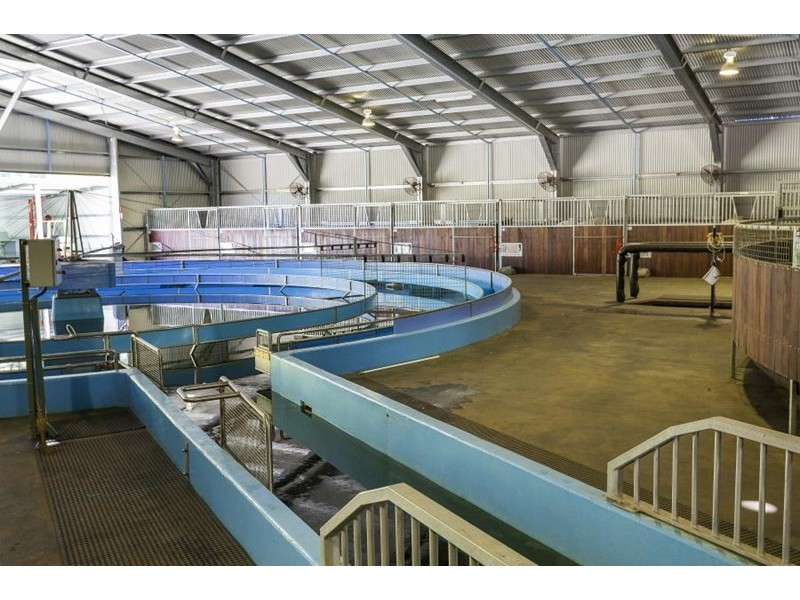 42 Brahma Road, North Richmond NSW 2754