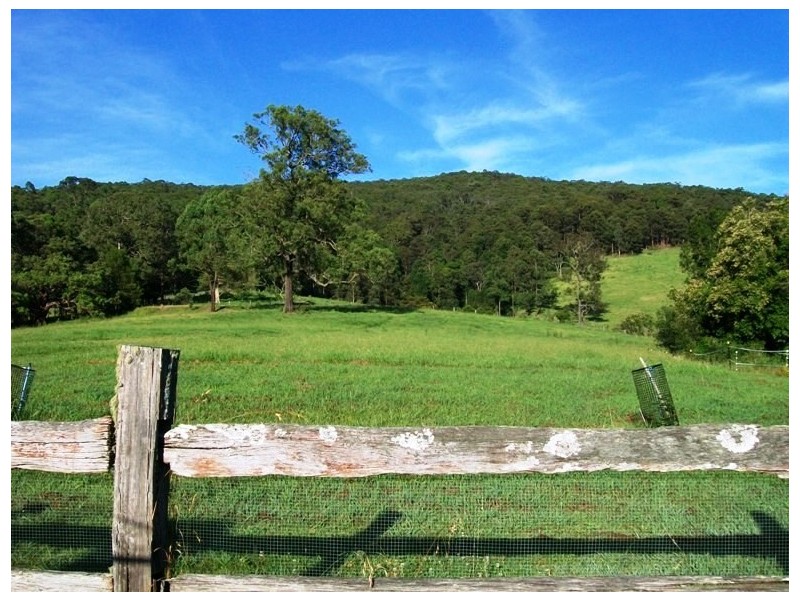 754 Main Creek Road, Main Creek NSW 2420