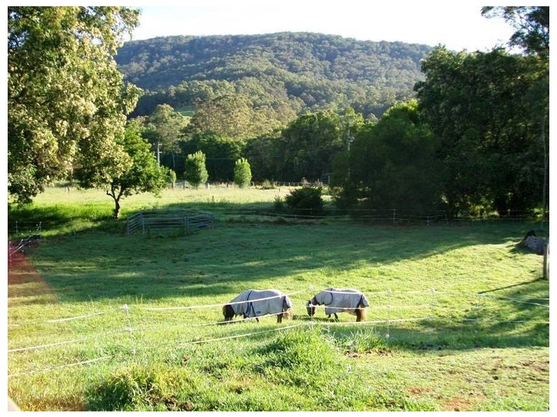 754 Main Creek Road, Main Creek NSW 2420