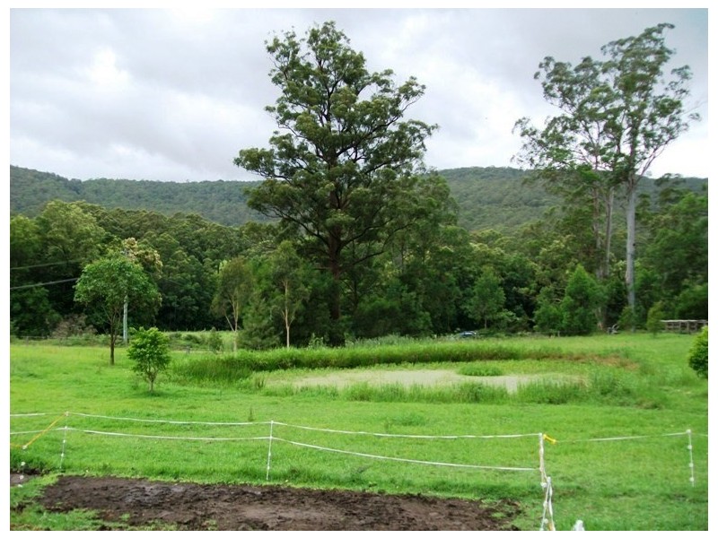 754 Main Creek Road, Main Creek NSW 2420