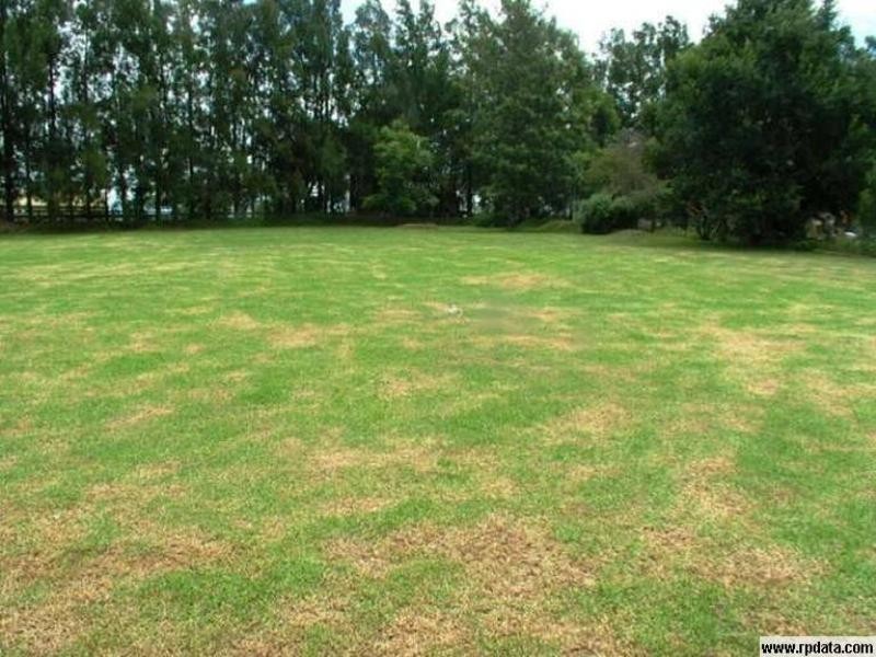 115 Bathurst Road, Pitt Town NSW 2756