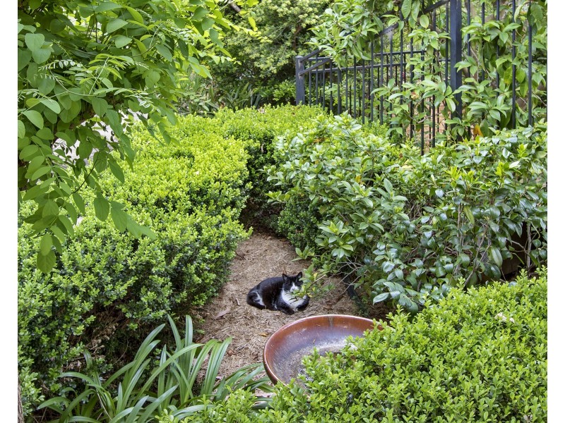 61 Ashtons Road, Grose Wold NSW 2753