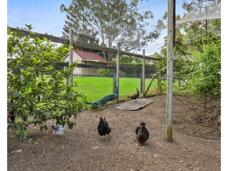 61 Ashtons Road, Grose Wold NSW 2753